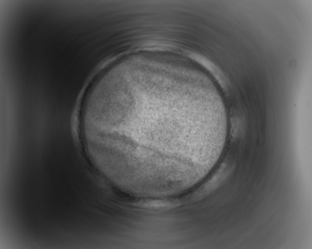 X0000087621074200705181309