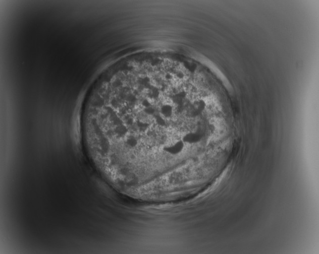 X0000087621075200705181309