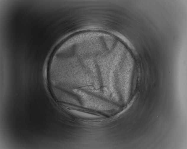 X0000087621078200705181309