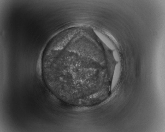 X0000087621079200705181309