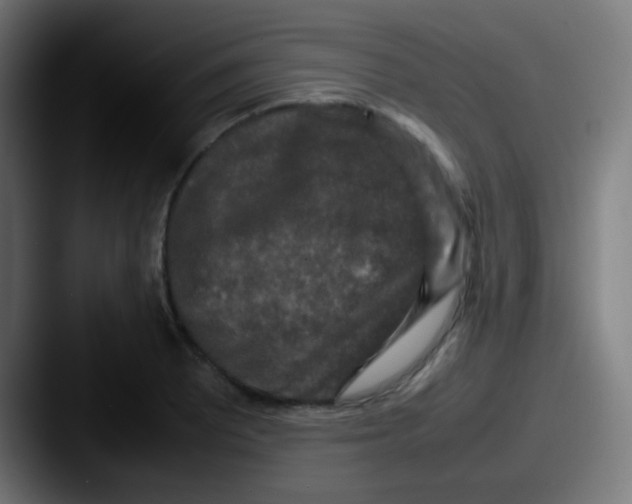 X0000087621081200705181309