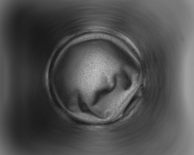 X0000087621082200705181309