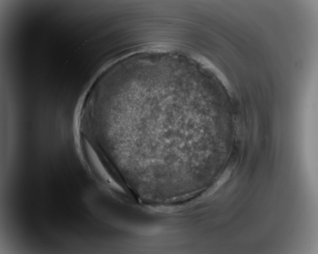 X0000087621083200705181309