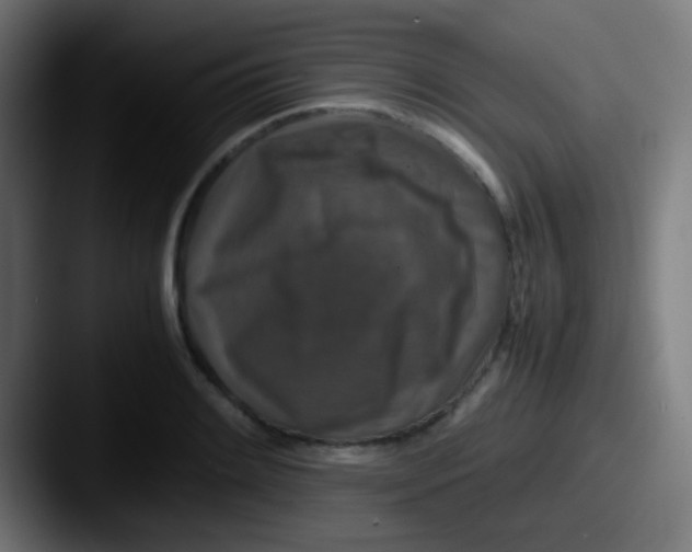 X0000087621084200705181309