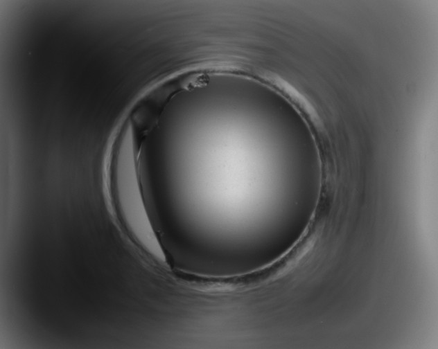 X0000087621085200705181309