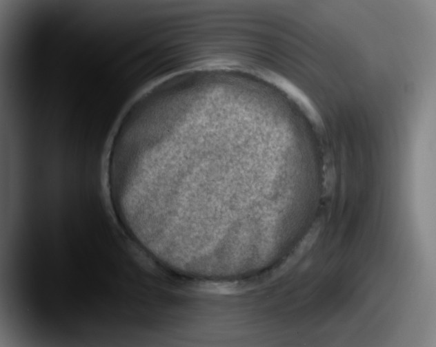 X0000087621086200705181309