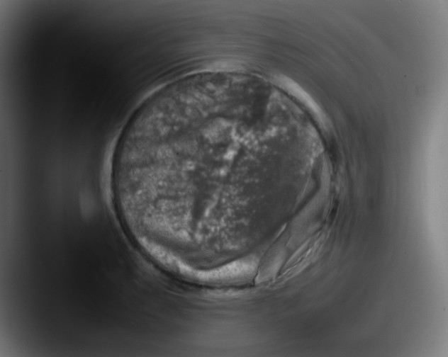 X0000087621087200705181309