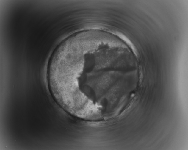 X0000087621088200705181309
