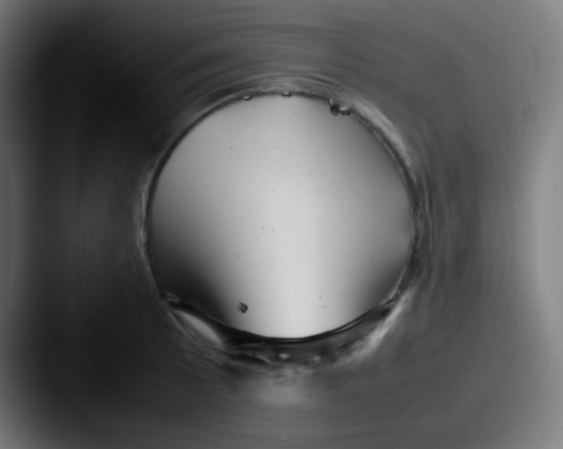 X0000087621089200705181309