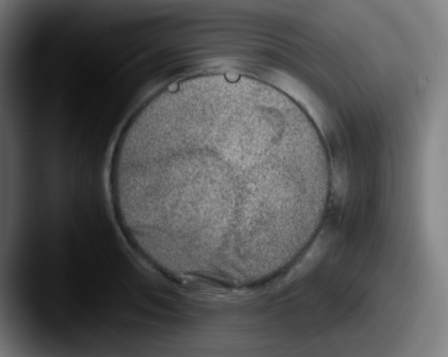 X0000087621090200705181309