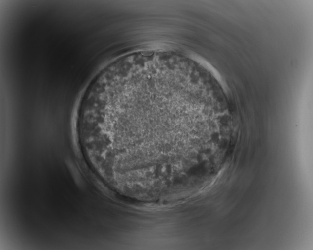 X0000087621091200705181308