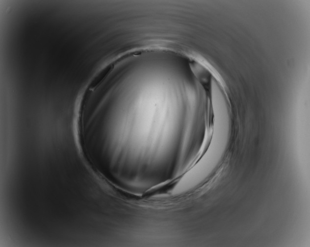 X0000087621093200705181308
