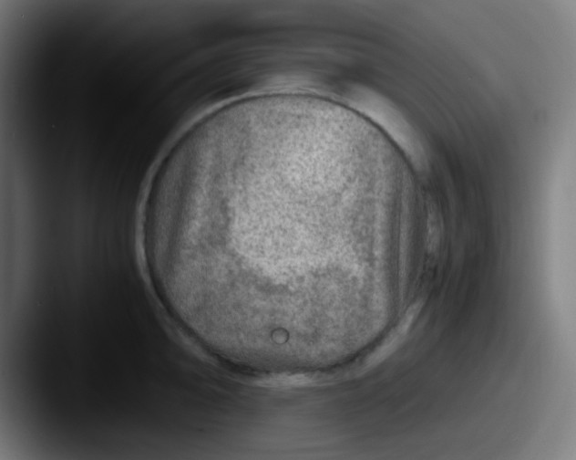 X0000087621094200705181308