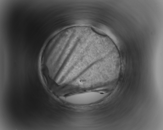 X0000087621096200705181308