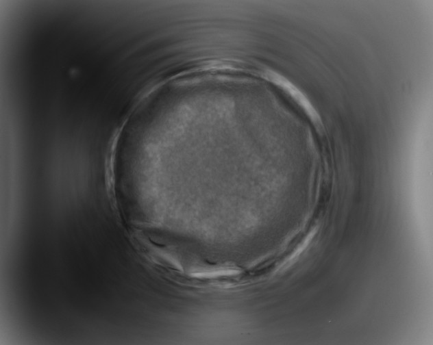 X0000087621097200705181308