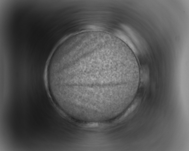 X0000087621098200705181308