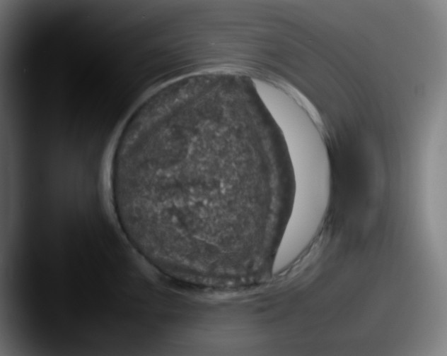 X0000087621099200705181308