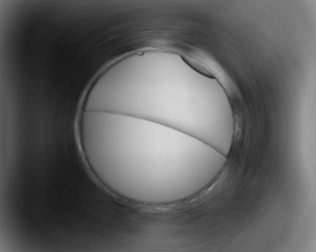 X0000087621100200705181308