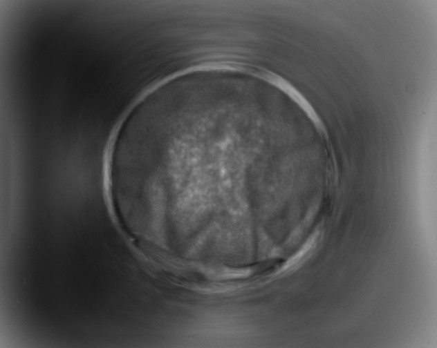 X0000087621101200705181308