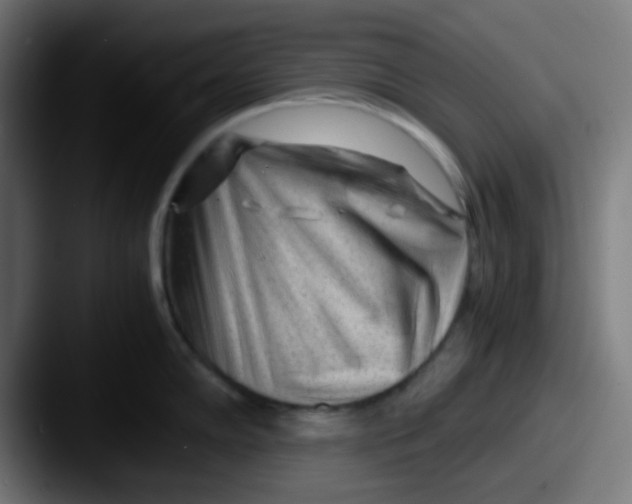 X0000087621102200705181308