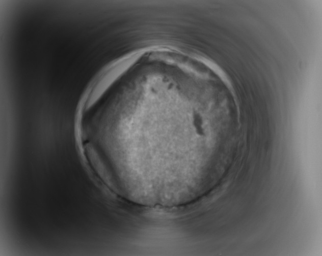 X0000087621104200705181308