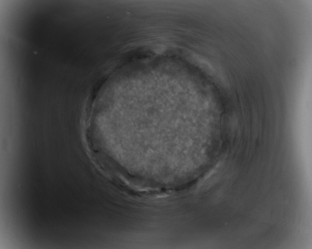 X0000087621105200705181308