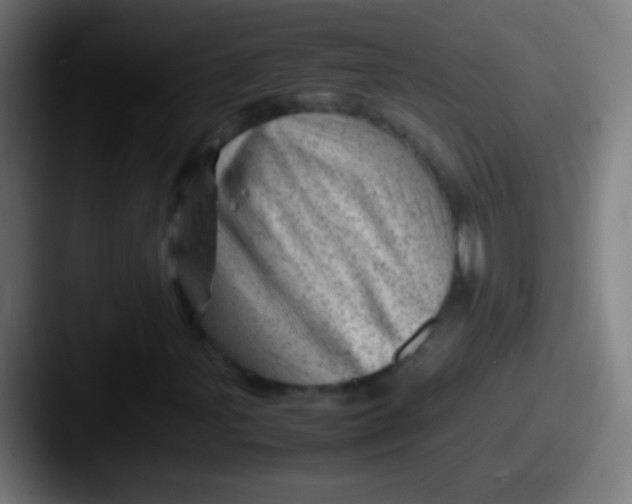X0000087621107200705181308