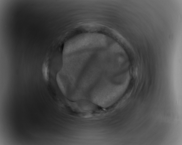 X0000087621108200705181308