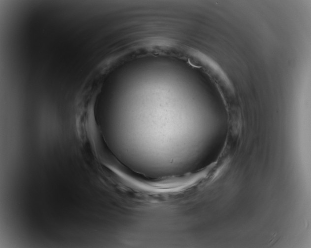 X0000087621112200705181308