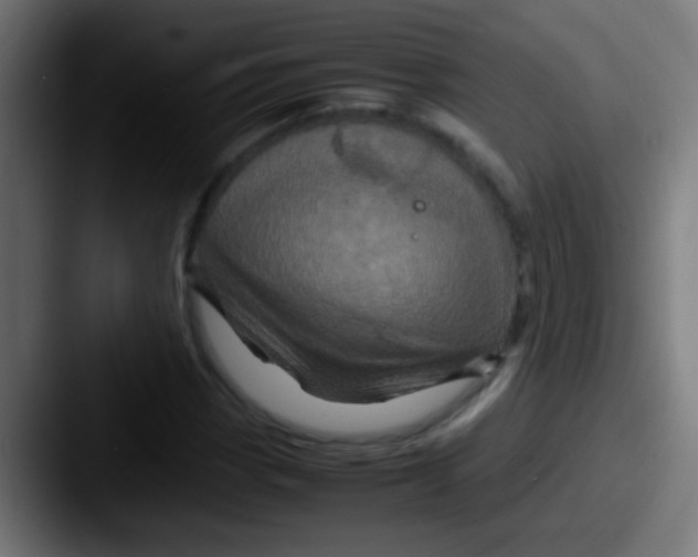 X0000087621113200705181308
