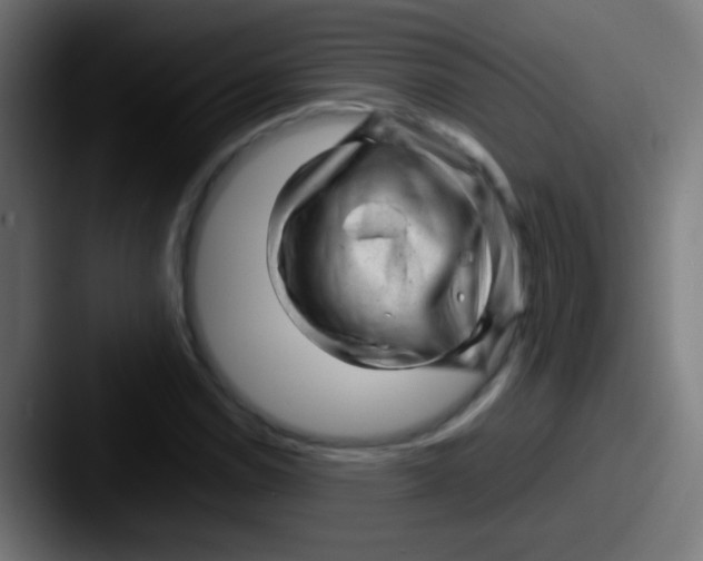 X0000087621114200705181308