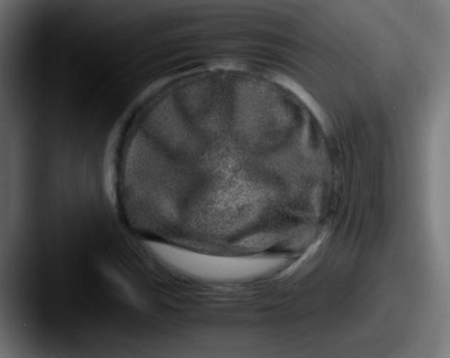 X0000087621115200705181308