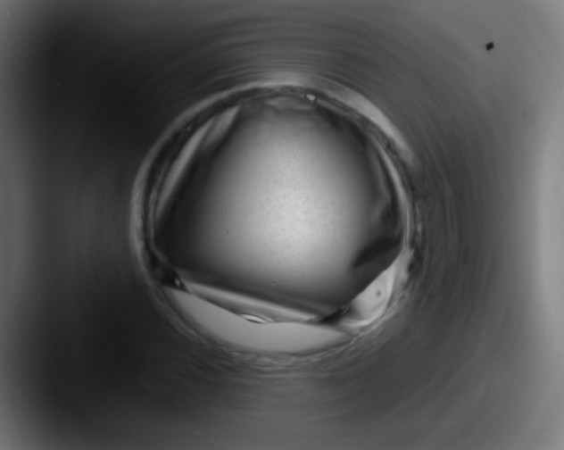 X0000087621116200705181308