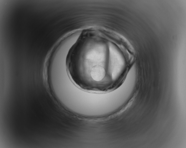 X0000087621118200705181308