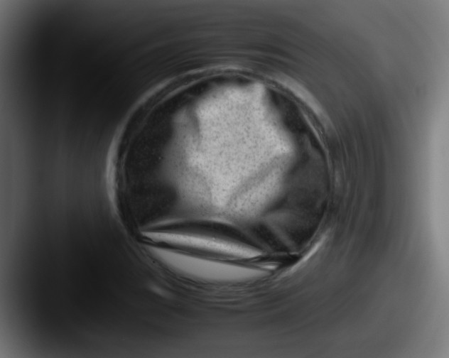 X0000087621119200705181308