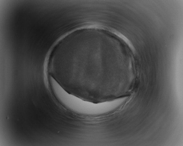 X0000087621120200705181308
