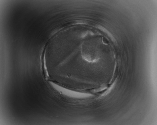 X0000087621121200705181308