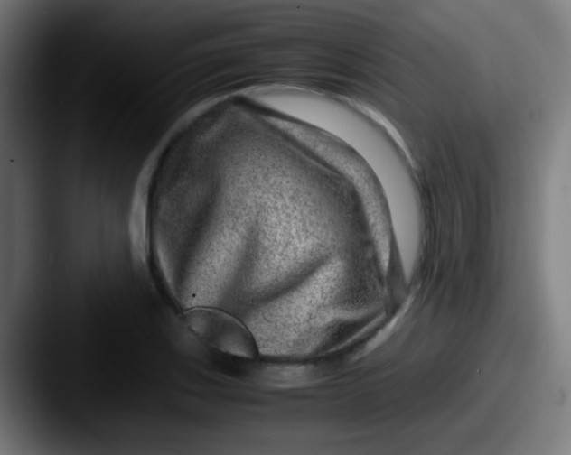X0000087621123200705181308