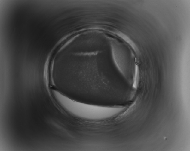 X0000087621127200705181308