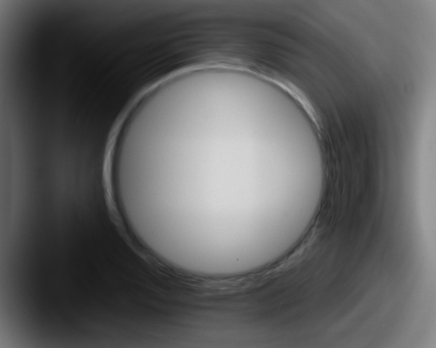 X0000087621128200705181308