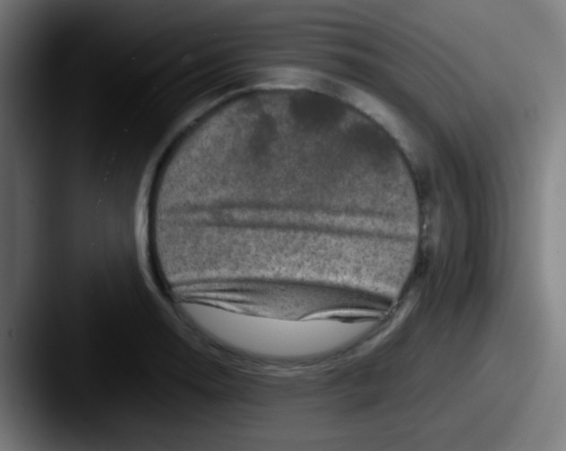 X0000087621130200705181308