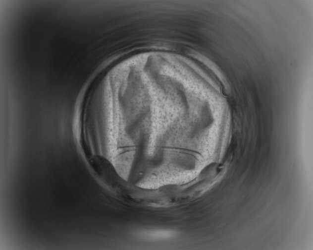 X0000087621131200705181308
