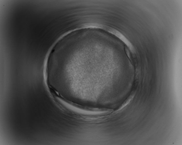 X0000087621132200705181308