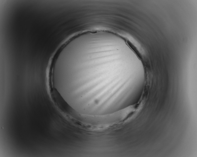 X0000087621134200705181308