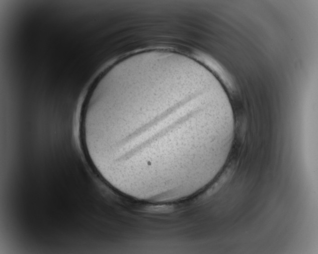 X0000087621135200705181308