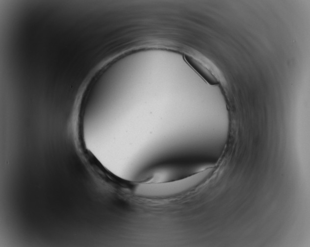 X0000087621136200705181308