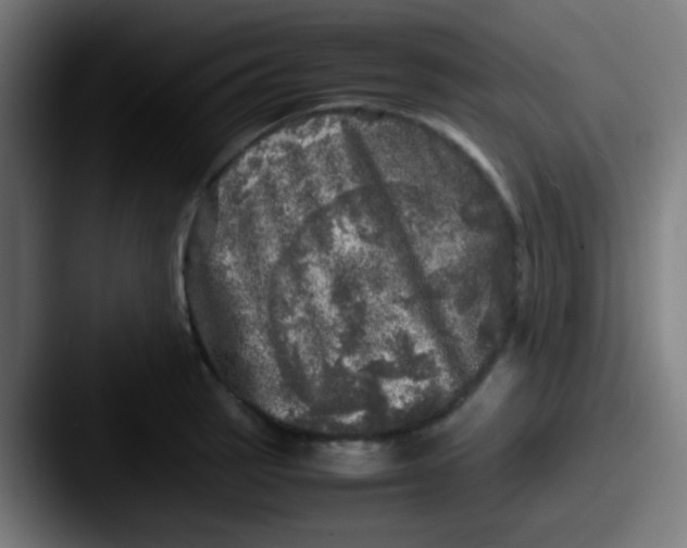 X0000087621137200705181308