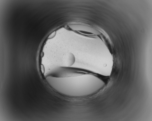 X0000087621138200705181308