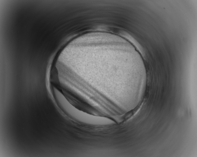 X0000087621139200705181308