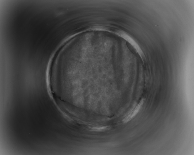 X0000087621141200705181308